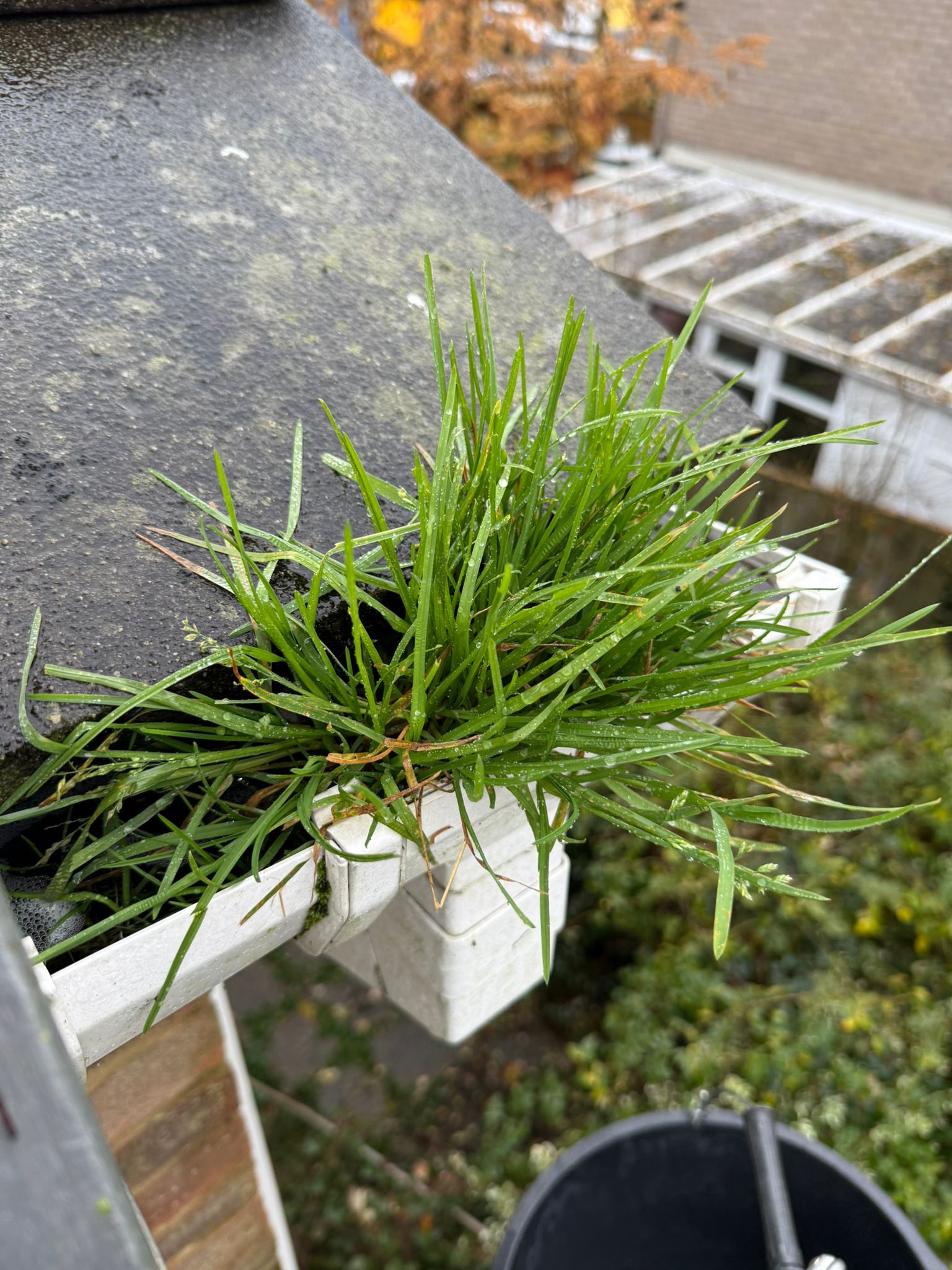 Blocked gutter downpipe in Wheatley